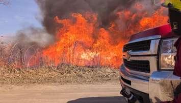 Marsh fire at Walpole Island First Nation March 19, 2025. Photo courtesy of the Walpole Island Fire Department via Facebook. 