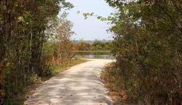 A trail at Holiday Beach, provided by ERCA. 