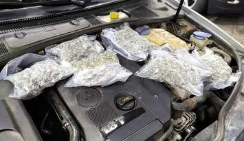 Marijuana seized from Canadian travellers at the Ambassador Bridge in Detroit is shown on May 23, 2025. Photo courtesy DFO Marty C. Raybon/X.