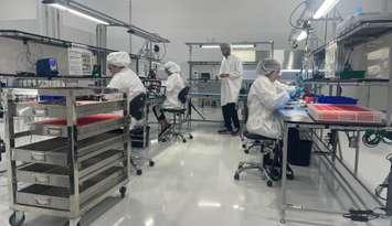Employees at Convoy Technologies producing cameras for vehicles, July 18. (Photo by Maureen Revait)
