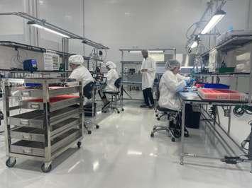 Employees at Convoy Technologies producing cameras for vehicles, July 18. (Photo by Maureen Revait)