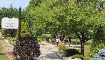 Dieppe Gardens, August 3, 2017. (Photo by Maureen Revait)