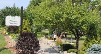 Dieppe Gardens, August 3, 2017. (Photo by Maureen Revait)