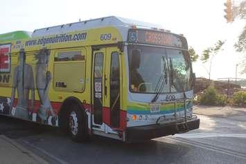 A Transit Windsor bus is seen turning onto Riverside Dr. on July 19. 2016. (Photo by Ricardo Veneza)