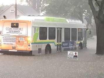 Windsor residents deal with widespread flooding in the city,
 August 29, 2017. (Photo courtesy of Dora Amelia Belanger)